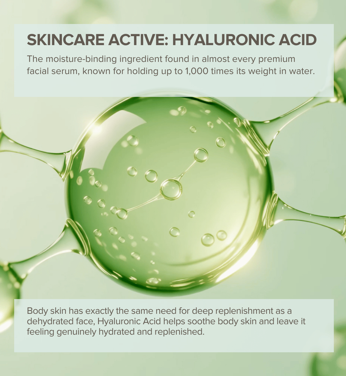 Calm Water. Hydrate & Replenish Body Butter