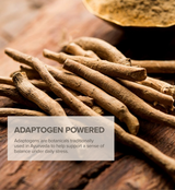 Grounded Earth. Nourish & Protect Fragrance Mist