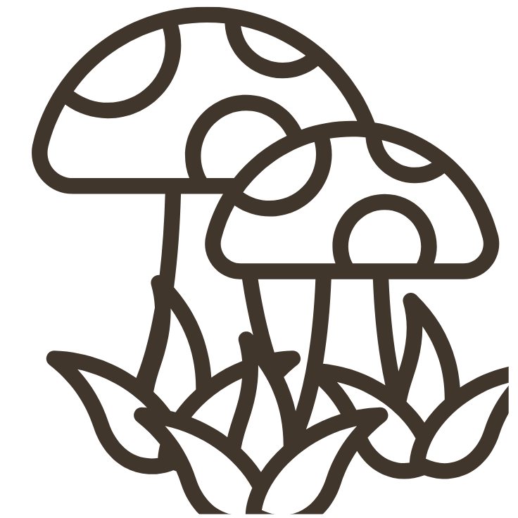 ADAPTOGENS