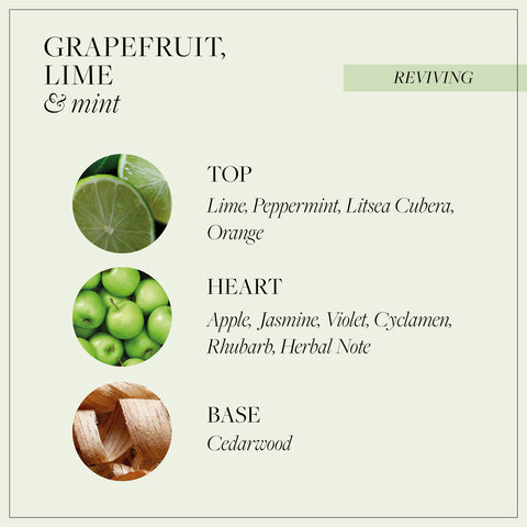 Grace Cole Grapefruit, Lime & Mint Fragrant Candle Candles