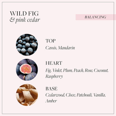 Grace Cole Wild Fig & Pink Cedar Fragrant Candle Candles
